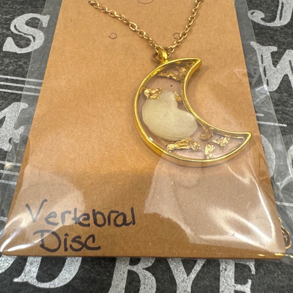 OOAK Handcrafted Fox Vertebral Discs Taxidermy Oddities Animal‎ Bone Necklace